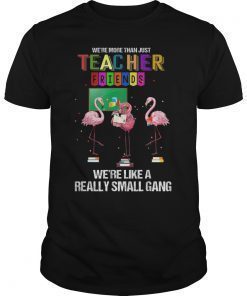 We're More Than Just Teacher Friends Funny Teacher T-Shirt