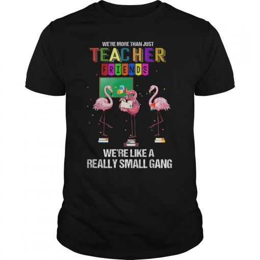 We're More Than Just Teacher Friends Funny Teacher T-Shirt