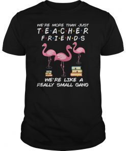 We're More Than Just Teacher Friends Funny flamingo Gift T-Shirt