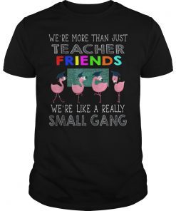 We're More Than Just Teacher Friends Math Flamingos gift T-Shirt