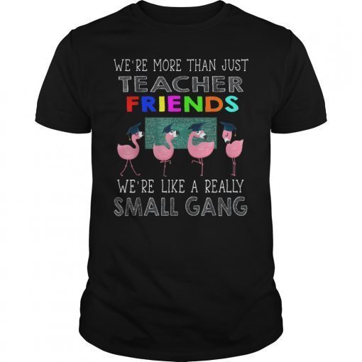 We're More Than Just Teacher Friends Math Flamingos gift T-Shirt
