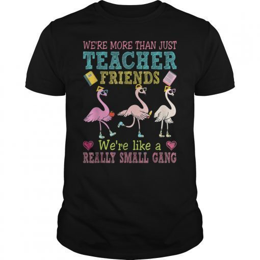 We're More Than Teacher Friends Like A Really Small Gang T-Shirt