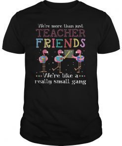 We're more than just teacher friends T-shirt T-Shirt
