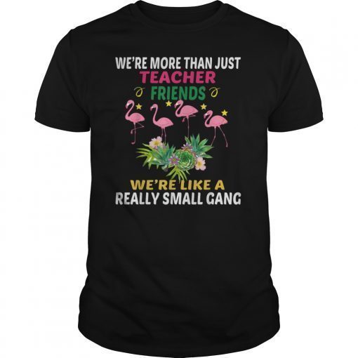 We're more than just teacher friends flamingo lovers tshirt