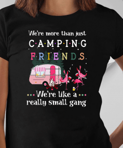 We’re More Than Just Camping Friends Flamingo We’re Like A Really Small Gang Shirt