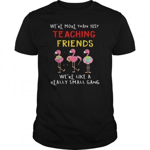 we're more than just teaching friends T-Shirt