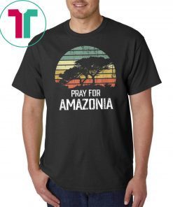 Amazon Wildfires Hashtag Pray For Amazonia #prayforamazonia Gift T-Shirt