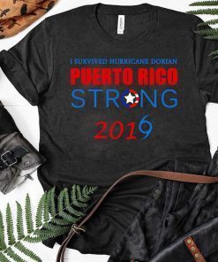 I Survived Hurricane Dorian puerto rico strong 2019 Tee Shirt