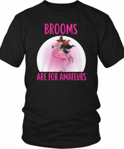 Halloween brooms are for amateurs flamingo Unisex T-Shirt