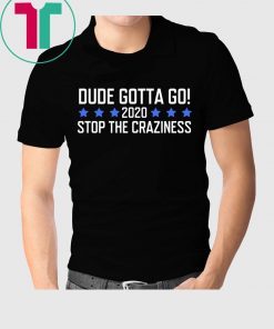 Dude Gotta Go Stop The Craziness 2020 T-Shirt