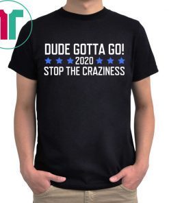 Dude Gotta Go Stop The Craziness 2020 T-Shirt