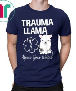 Ministry Of Trauma Llama Alpaca Your Wound Llama Lover Tee Shirt