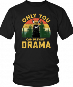 Only you can prevent drama Llama Camping Vintage funny 2019 T-Shirt