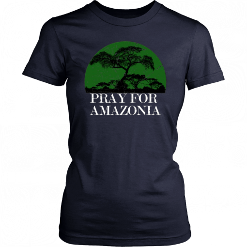 Buy Pray For Amazonia 2019 T-Shirt