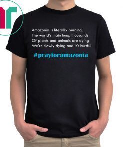 Pray for Amazonia #prayforamazonia T-Shirt