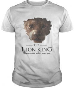 The Lion King remember who you are shirt