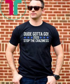 Dude Gotta Go Stop The Craziness 2020 Classic T-Shirt