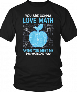 You are gonna love math after you meet me I’m warning you shirt and mens v-neck T-Shirt