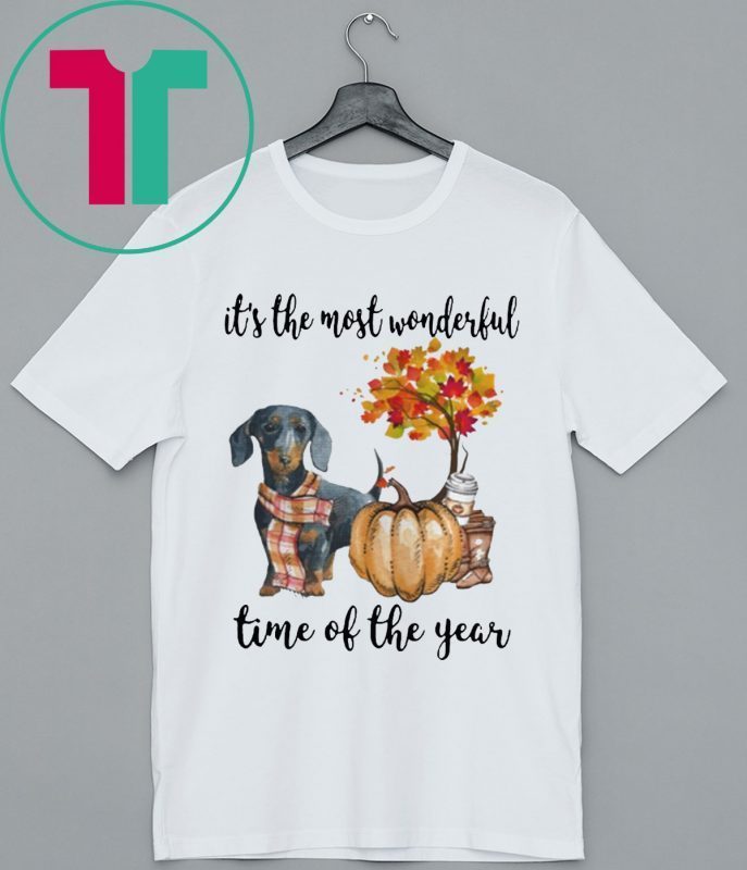 Dachshund pumpkin Its the most wonderful time of the year Classic Tee Shirt