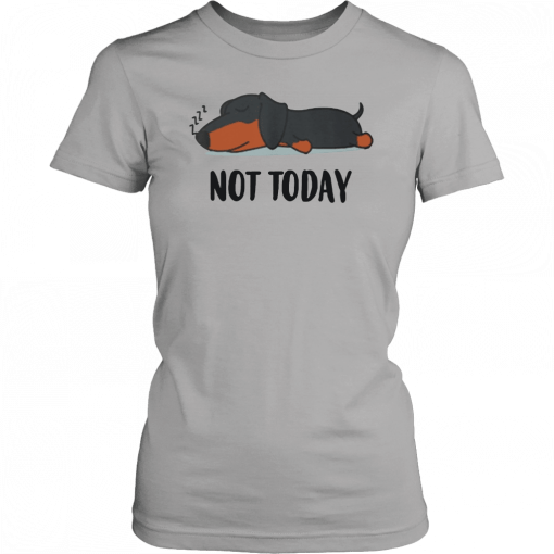 Dachshund not today Unisex T-Shirt