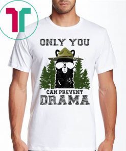 Llama Camping Only You Can Prevent Drama 2019 Shirt