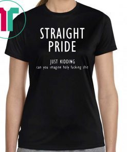 Straight pride just kidding can you imagine holy fucking shit T-Shirt