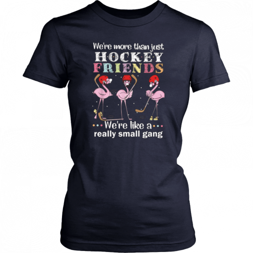 We're more thant just Hockey friends we're like a really small gang Tee Shirt