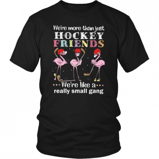 We're more thant just Hockey friends we're like a really small gang Tee Shirt