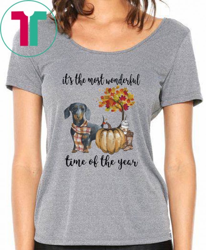 Dachshund pumpkin Its the most wonderful time of the year Classic Tee Shirt