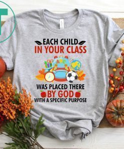 Each child in your class was placed there by God T-Shirts