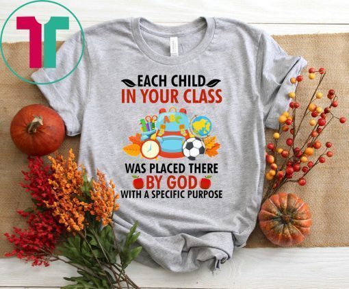 Each child in your class was placed there by God T-Shirts