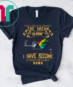 Pink Floyd I Have Become Comfortably Numb Tee Shirt