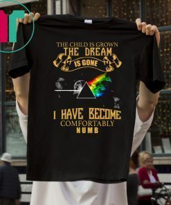 Pink Floyd I Have Become Comfortably Numb Tee Shirt