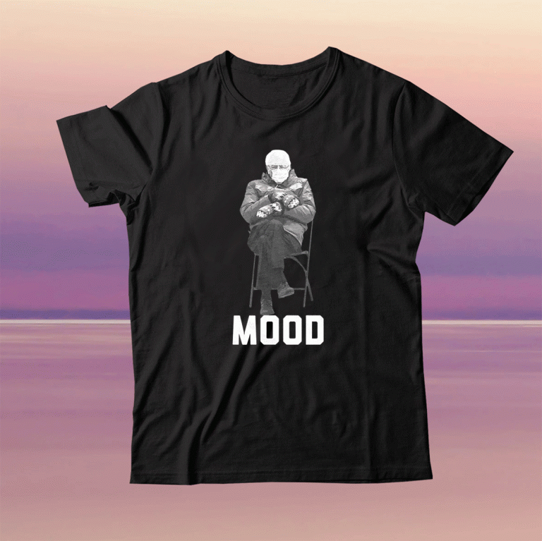 Bernie Sanders Mood Inauguration Funny T-Shirt