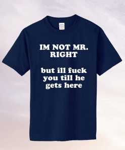 I am not Mr Right but I will fuck you till he gets here tee shirt