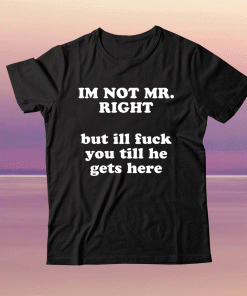 I am not Mr Right but I will fuck you till he gets here tee shirt