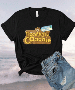 Yeah I Have Excellent Coochie Date Me Please 2021 TShirt