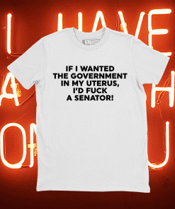 Protect If I Wanted The Government In My Uterus Tee Shirt
