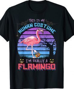 This Is My Human Costume I'm Really A Flamingo Halloween 2021 TShirt