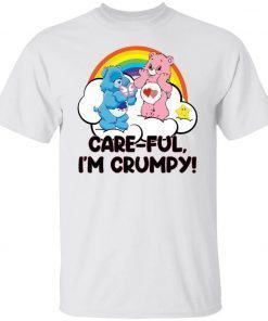 Bear careful i’m grumpy gift shirts