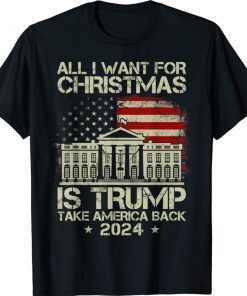 USA Flag All I Want For Christmas Is A New President 2022 Shirts