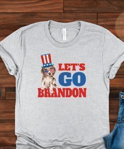 Let's Go Brandon, Cute Dog Shirt, Funny Biden Shirt, Lets Go Brandon T Shirt, Pro America Shirt