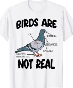 Birds Are Not Real Bird Spies Conspiracy Theory Birds Tee Shirt