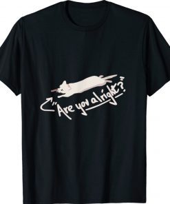 Lovejoy Are You Alright Lazy Cat Tee Shirt