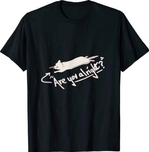 Lovejoy Are You Alright Lazy Cat Tee Shirt