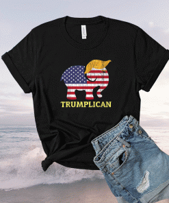 Trumplican Elephant Trump Hair 2022 Election Republican Shirts