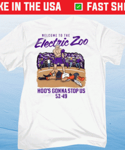 Official Welcome To The Electric Zoo Hoo's Gonna Stop US T-Shirt