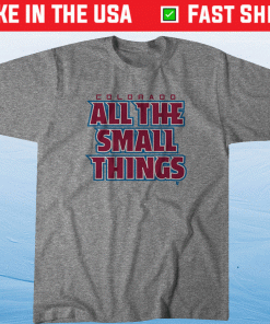 All the Small Things Colorado Hockey Tee Shirt