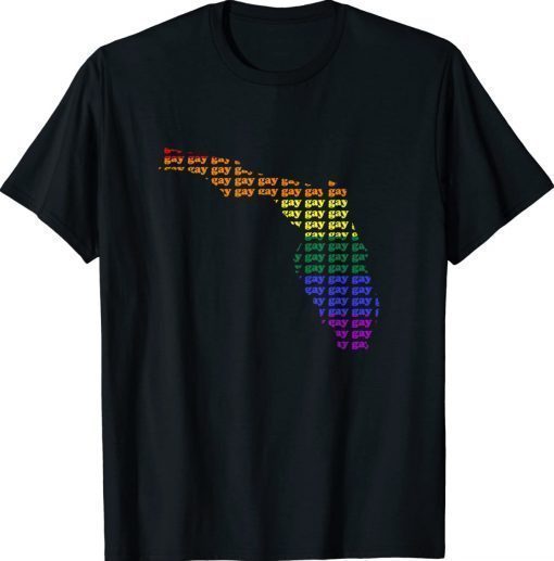 Florida Gay Pride Outline LGBTQ Vintage T-Shirt