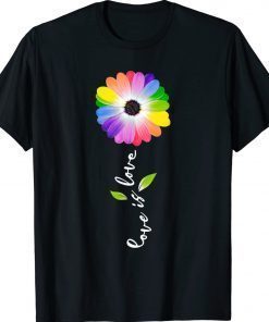 Love Is Love Daisy Flower LGBT Pride 2022 Shirts